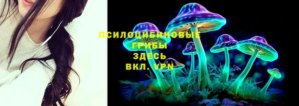 спиды Бронницы