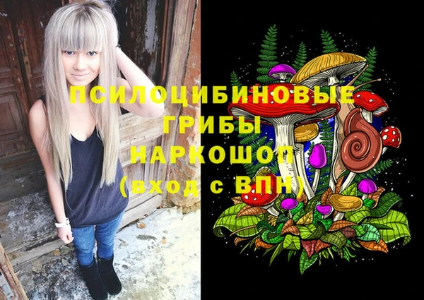 соль ск Бородино