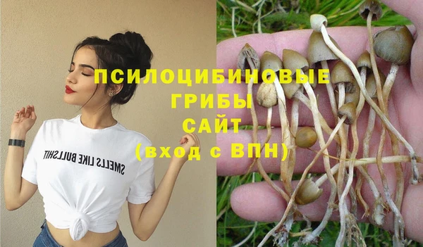 спиды Бронницы